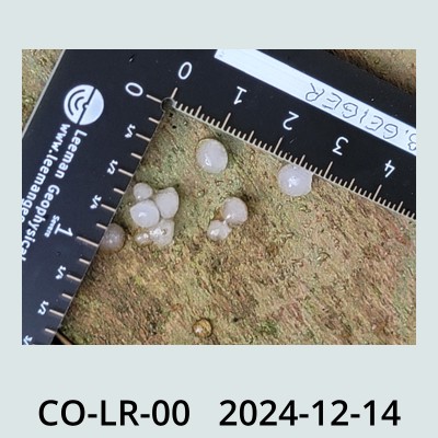 Hail Obs Photo